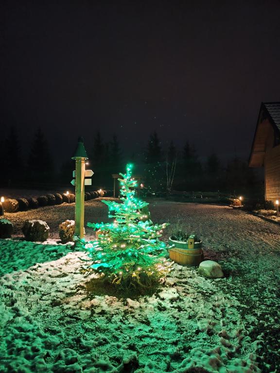 un albero di Natale verde nella neve di notte di Leśna Przystań - Domki całoroczne a Grywałd
