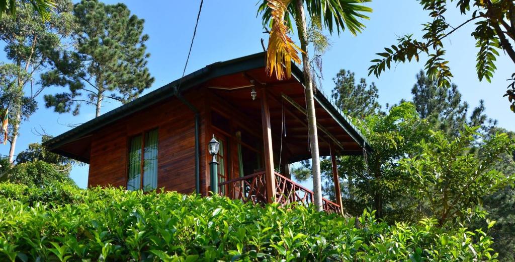 a small wooden house in the middle of trees at Ella Mount Relax Cottage in Ella