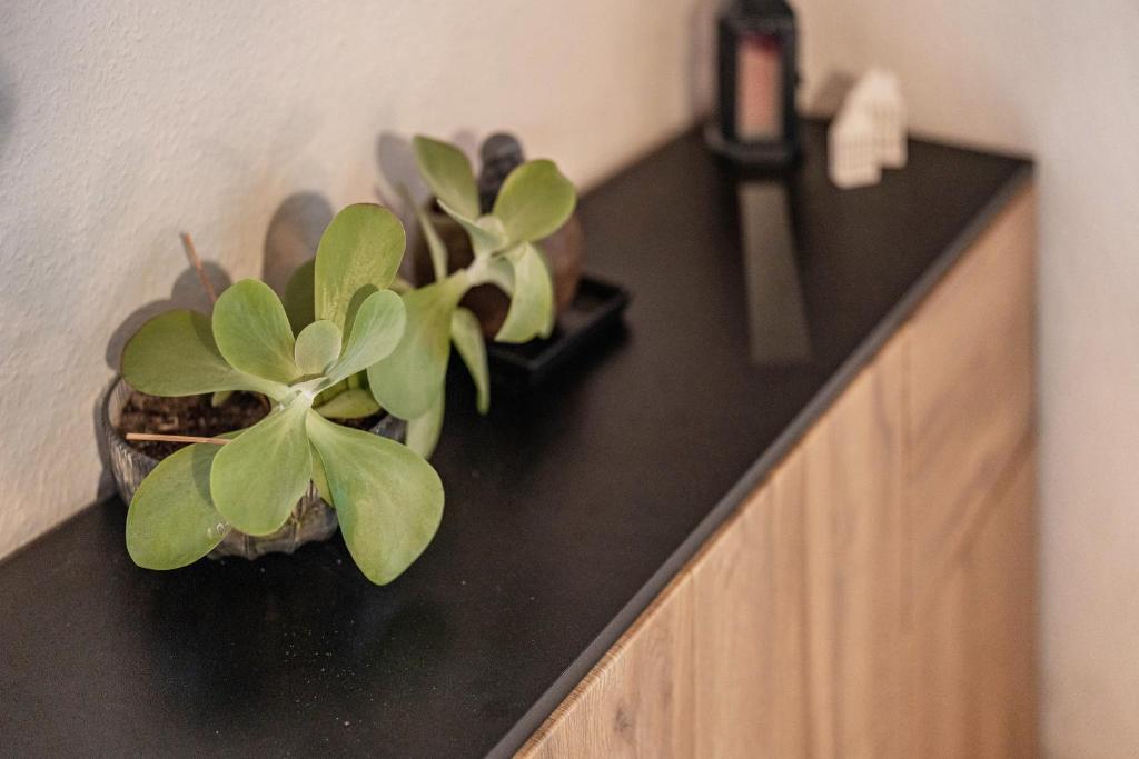 Fotografie z fotogalerie ubytování Ferienwohnung Faller v destinaci Gengenbach