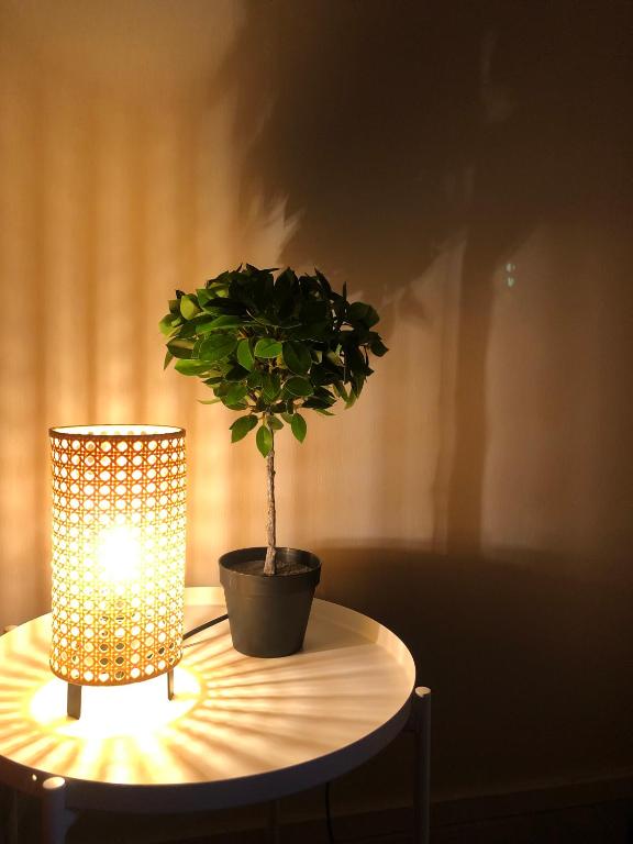 Photo de la galerie de l'établissement Appartement Quartier Montchapet, à Dijon