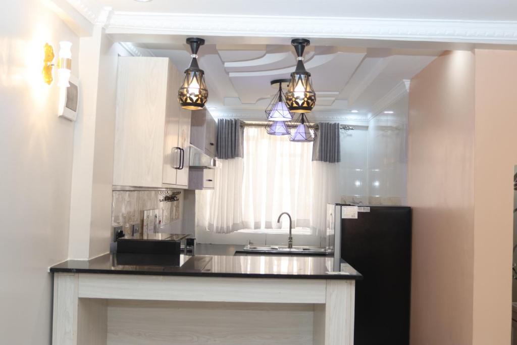 Kuchyň nebo kuchyňský kout v ubytování Shirpelle Suites BNB