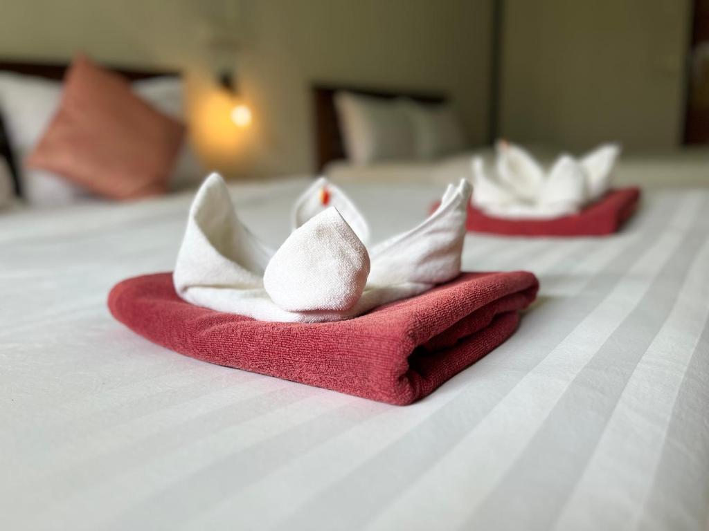 Khaosok River Camp - 17