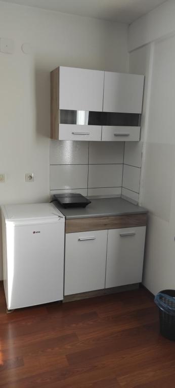Kuchyň nebo kuchyňský kout v ubytování Apartmani METRO