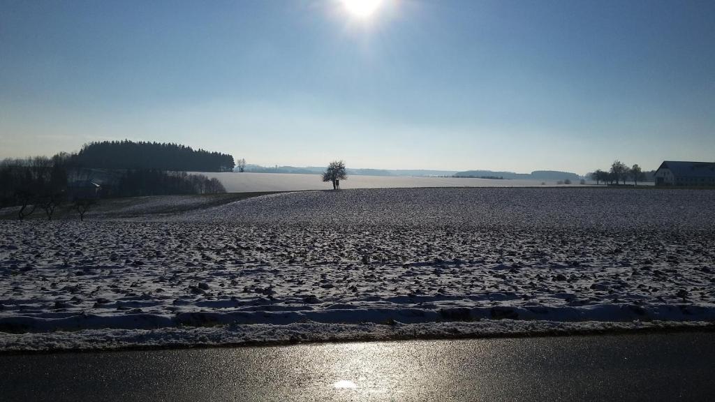 Příroda nedaleko penzionu