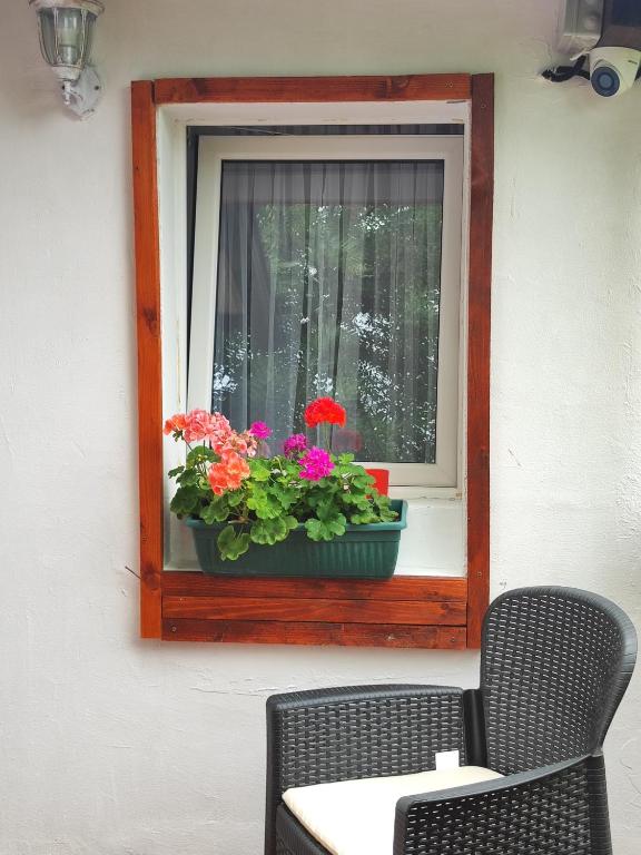 Fotografija u galeriji objekta Apartment Smokva u Beogradu