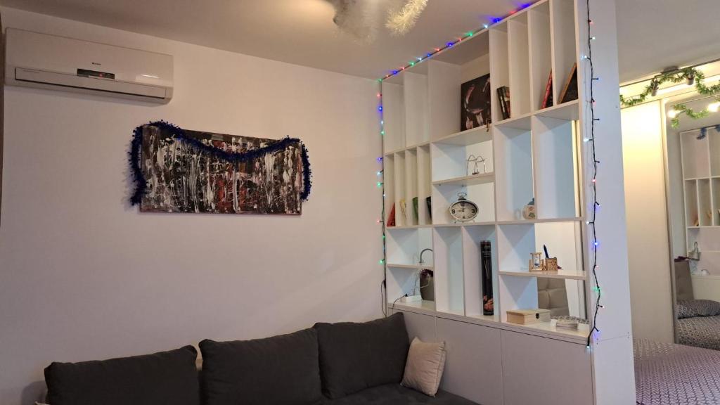 a living room with a couch and a book shelf at Maya 's home - Vracar in Vračar (historical)