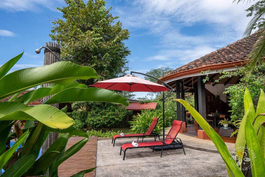 Zahrada ubytování Casa Mapache