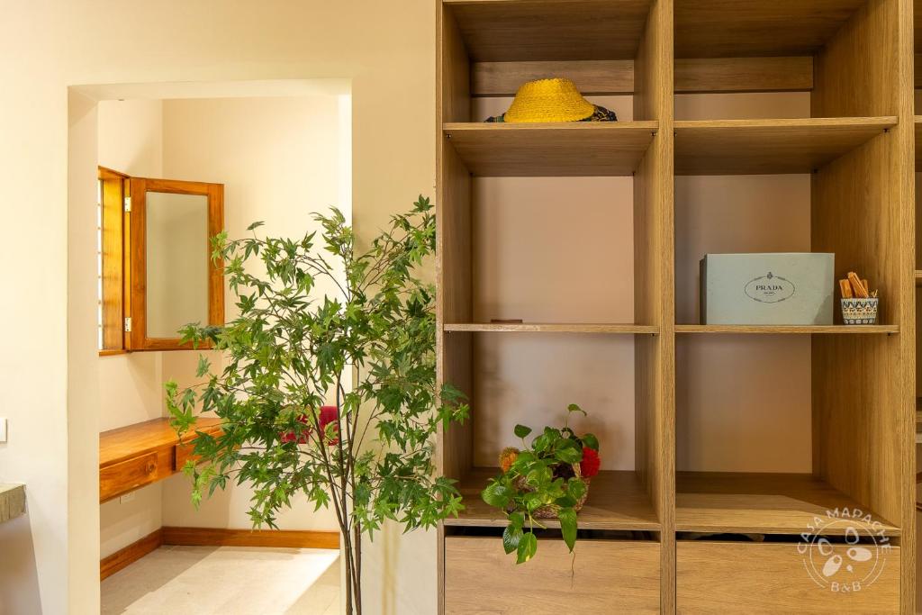 Fotografie z fotogalerie ubytování Casa Mapache v destinaci Tamarindo