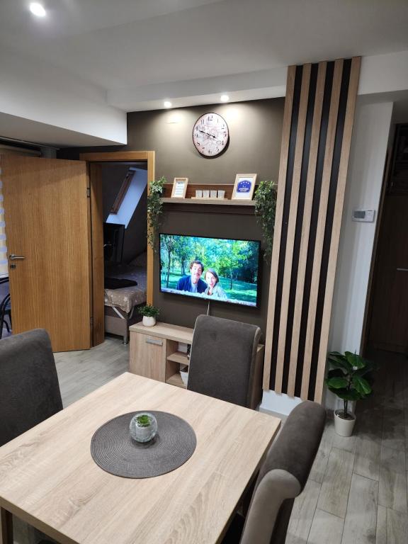 TV o dispositivi per l'intrattenimento presso Apartman Planinski san Divčibare