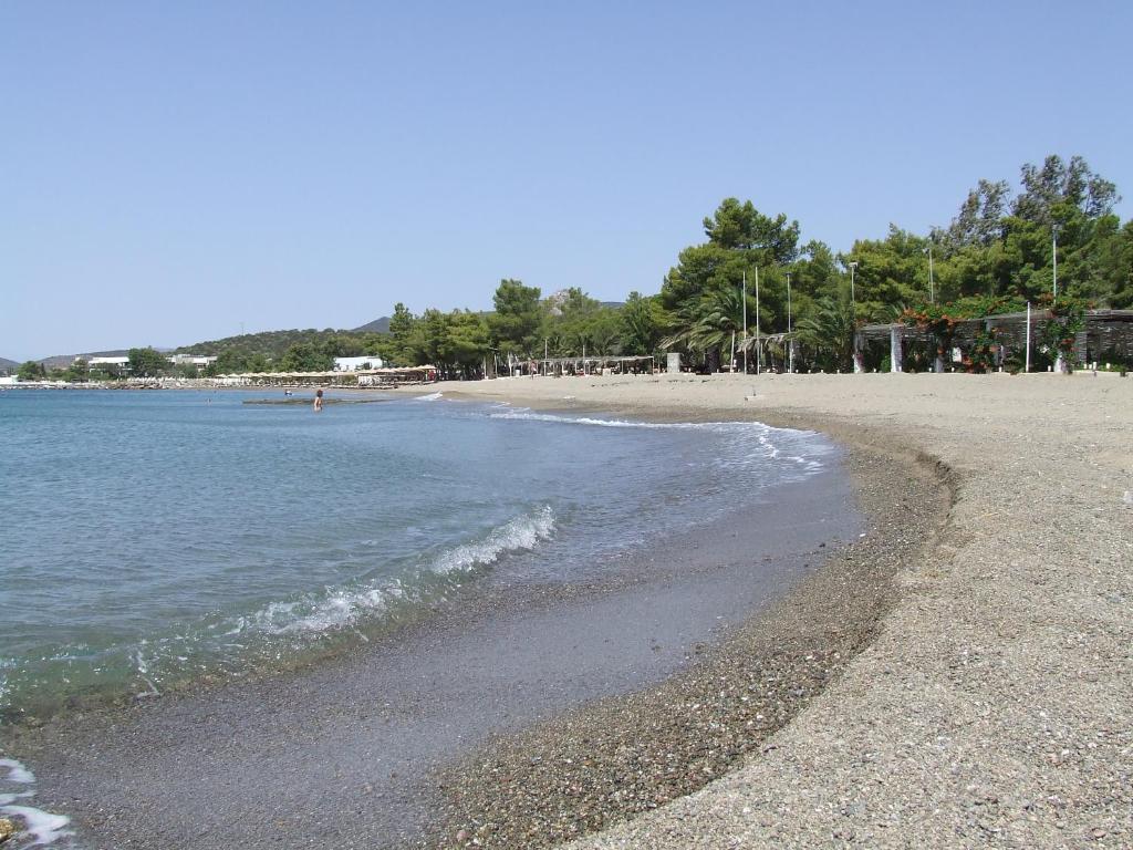 Príroda v okolí apartmánu