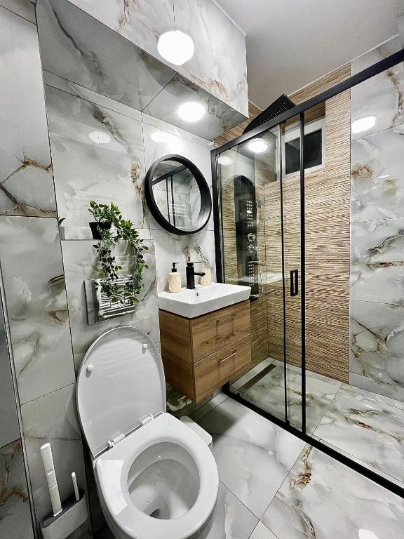 Koupelna v ubytování QuickStay - Apartment Straja - Lupeni