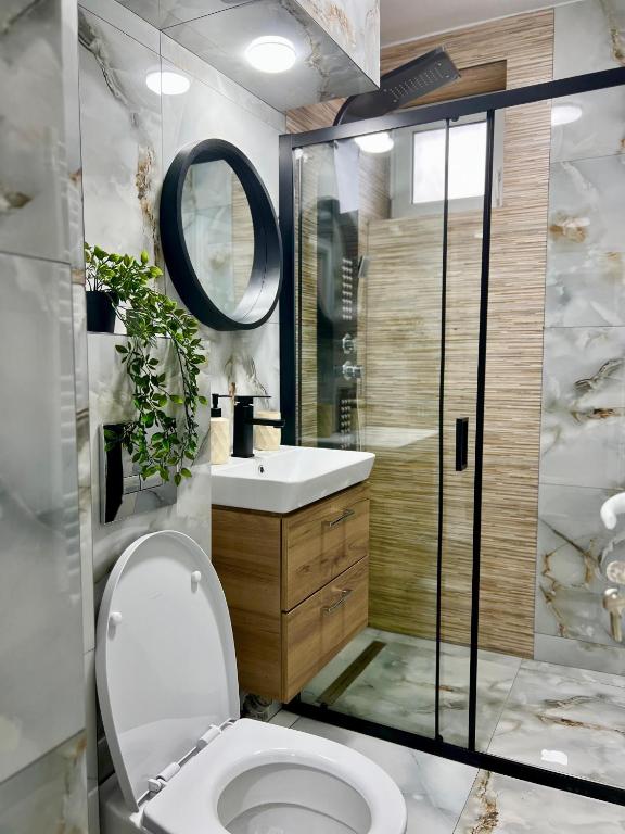 Koupelna v ubytování QuickStay - Apartment Straja - Lupeni