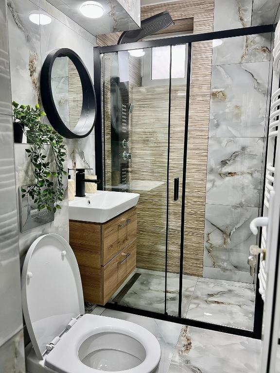 Koupelna v ubytování QuickStay - Apartment Straja - Lupeni