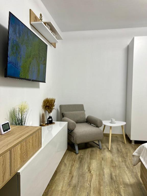 TV a/nebo společenská místnost v ubytování QuickStay - Apartment Straja - Lupeni