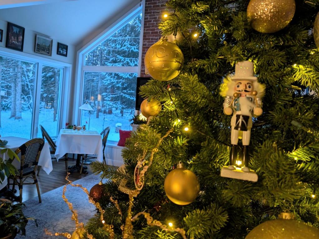 Gambar di galeri bagi La Tremblante di Mont-Tremblant