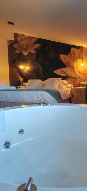 DUO SOMNIA, suites con jacuzzi y chimenea, only adults - 10