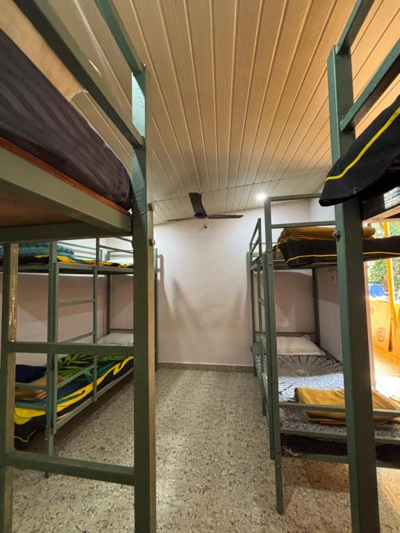 twee stapelbedden in een kamer met een plafond bij Tamasha Goa Vagator in Vagator