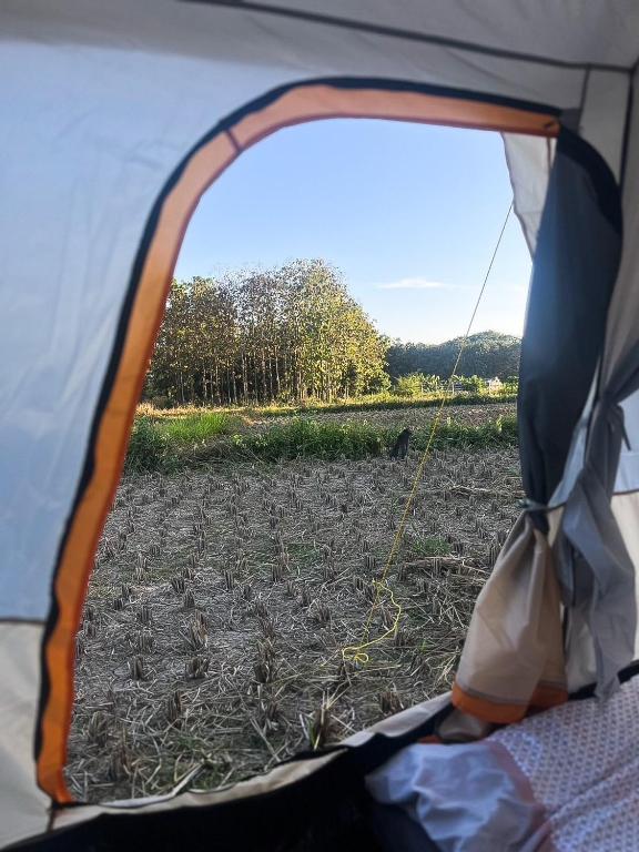 Příroda nedaleko luxury tent