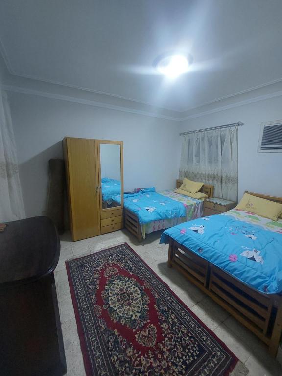 Postel nebo postele na pokoji v ubytování الجيزة شقة ذات غرفتين ترى النيل