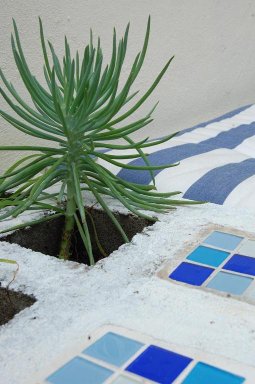 Fotografie z fotogalerie ubytování La Choza Guesthouse v destinaci Santo Domingo