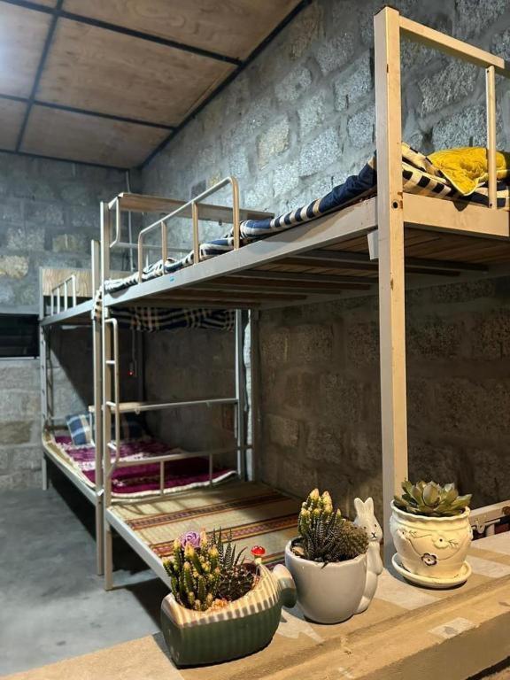 The Hygge Farm