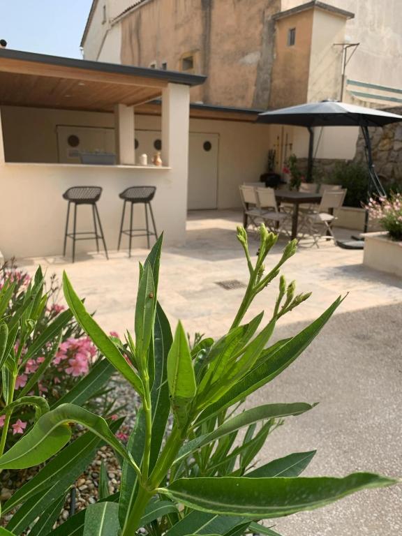patio ze stołami, krzesłami i roślinami w obiekcie Mas du Camisard w mieście Ribaute-les-Tavernes