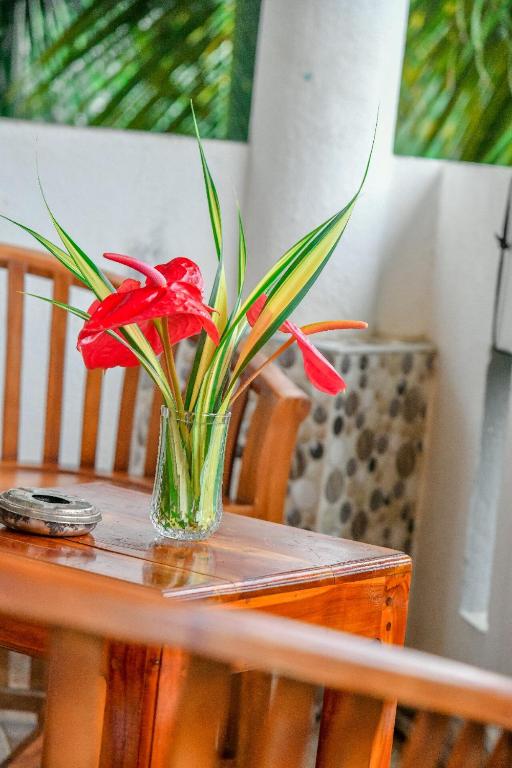 un fiore rosso in un vaso di vetro su un tavolo di Turtle cove residence a Tangalle
