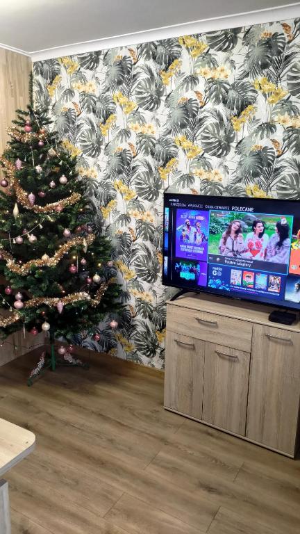 a christmas tree in a living room with a television at Miętówka in Żywiec