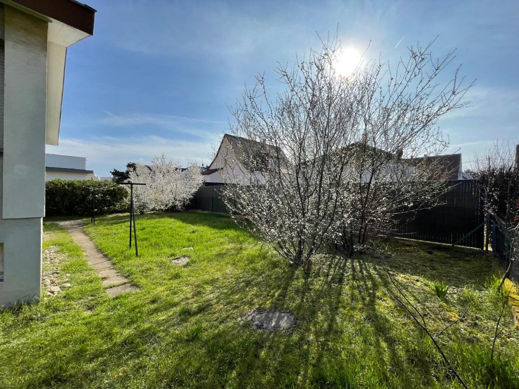 Maison individuelle 100 m2, jardin et parking privé – photo 11