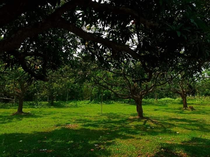 Zahrada ubytování Dhanyakuria Sawoo Rajbari