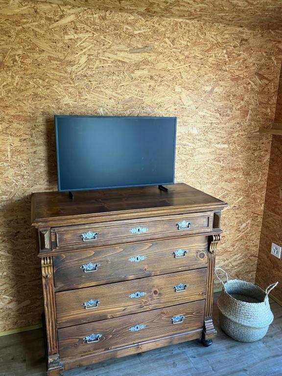 TV a/nebo společenská místnost v ubytování LE PIVERT, chalet confortable avec jardin à 100m du lac