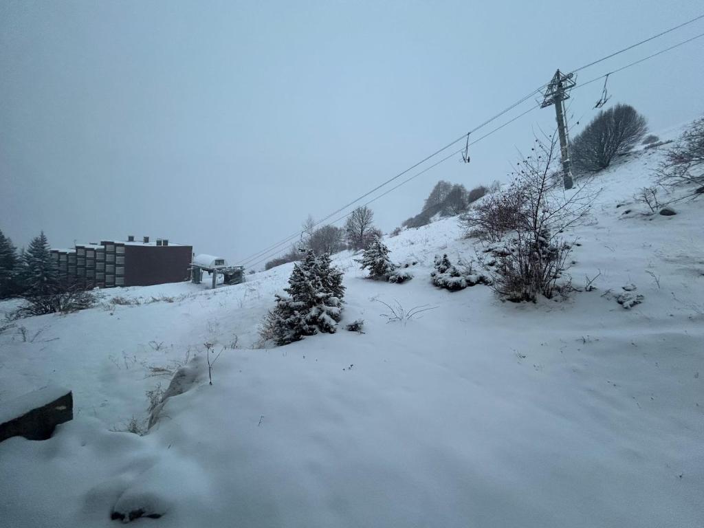 une colline enneigée avec des arbres et une remontée mécanique dans l'établissement Appartement Orcières, à Orcières