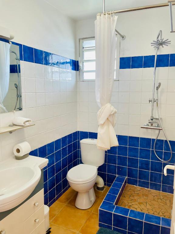 a blue and white bathroom with a toilet and a shower at L'amour à la plage...vue mer exceptionnelle ! in Les Trois-Îlets