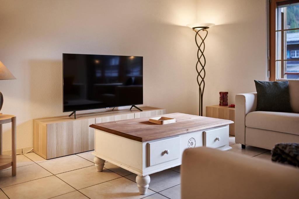 TV a/nebo společenská místnost v ubytování Apartment Mountain View, Luxury, Spacious with best Views