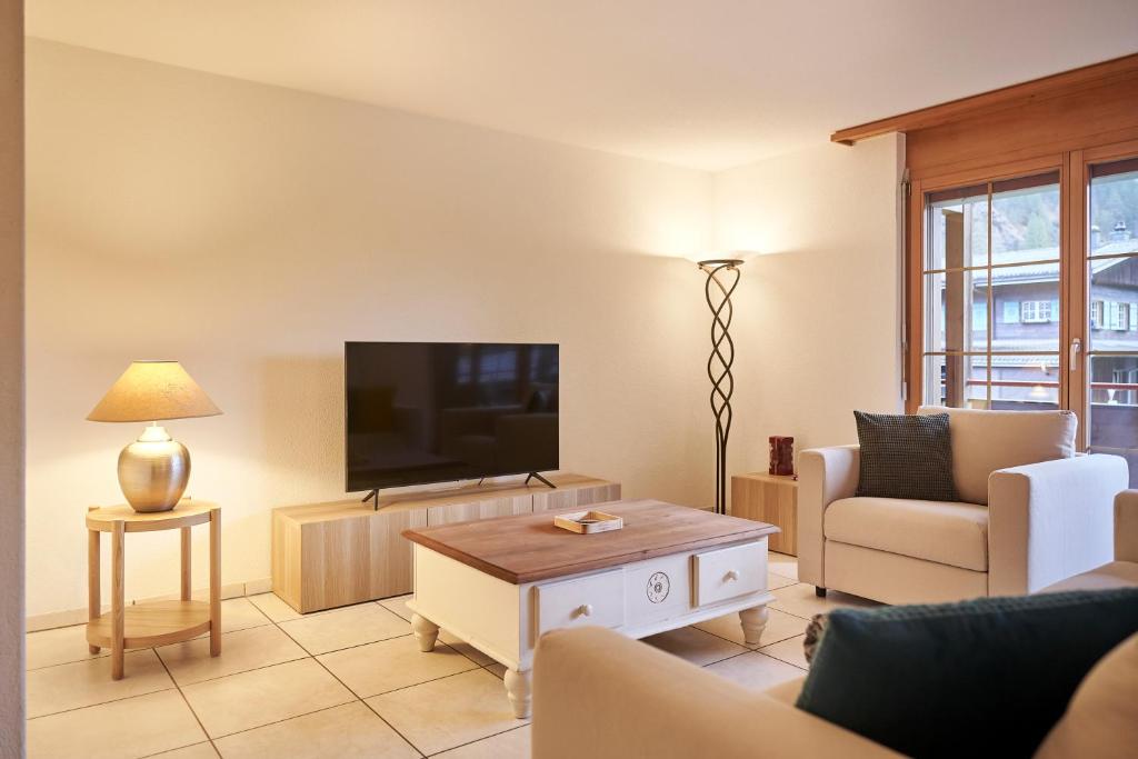 TV a/nebo společenská místnost v ubytování Apartment Mountain View, Luxury, Spacious with best Views
