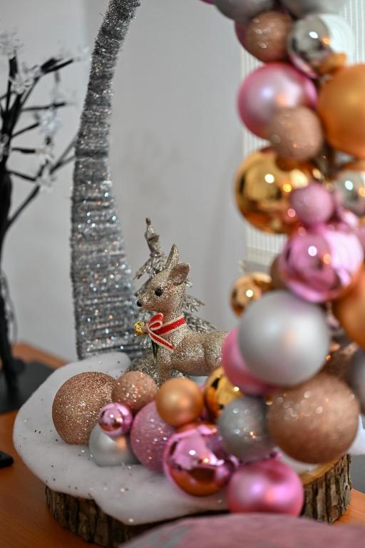 Mynd úr myndasafni af Apartman Dunja í Kraljevo