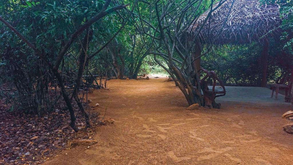 Fotografie z fotogalerie ubytování Yala Podi Hoona Bush Camp v destinaci Yala