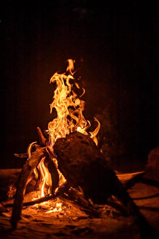 Fotografie z fotogalerie ubytování Yala Podi Hoona Bush Camp v destinaci Yala
