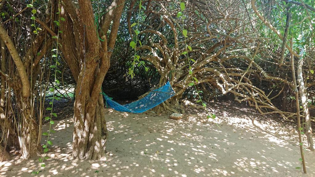 Zahrada ubytování Yala Podi Hoona Bush Camp