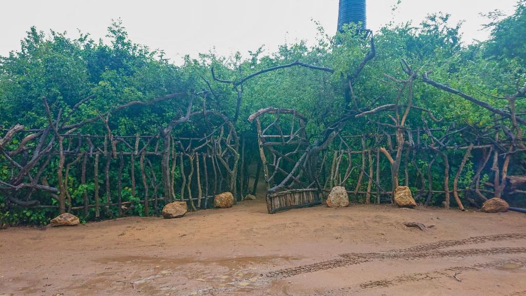 Fotografie z fotogalerie ubytování Yala Podi Hoona Bush Camp v destinaci Yala