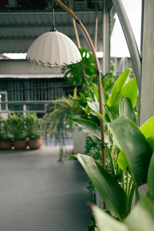 Fotografie z fotogalerie ubytování Cỏ Hai Lá Homestay v destinaci Phu Quoc