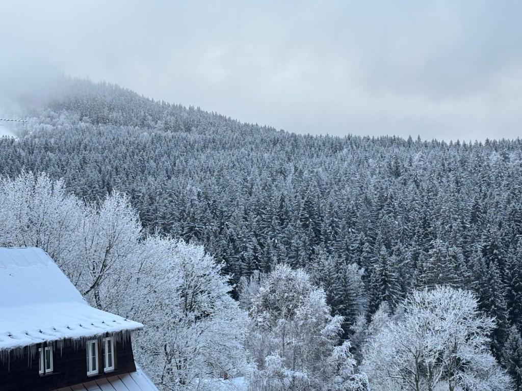 Penzion Verde Rosa v zimě