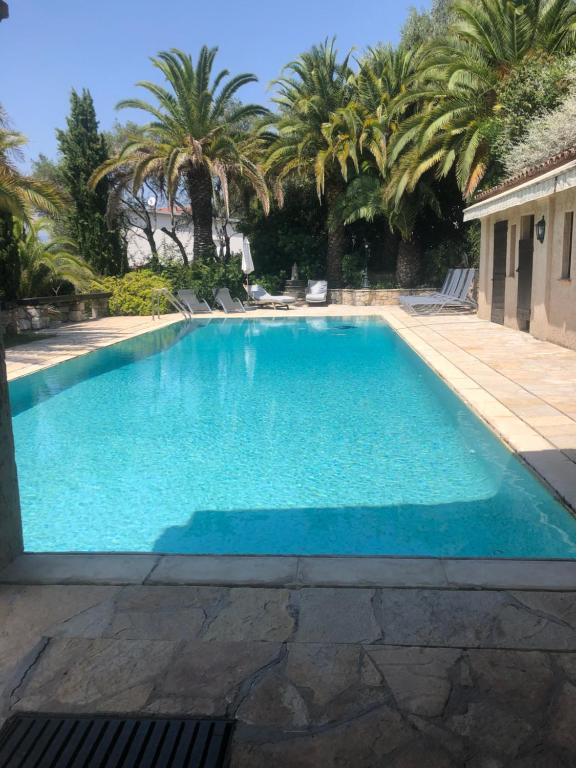a swimming pool with palm trees in the background at Villa loucisa Nice piscine vue mer 8 chambres 24 couchages in Nice