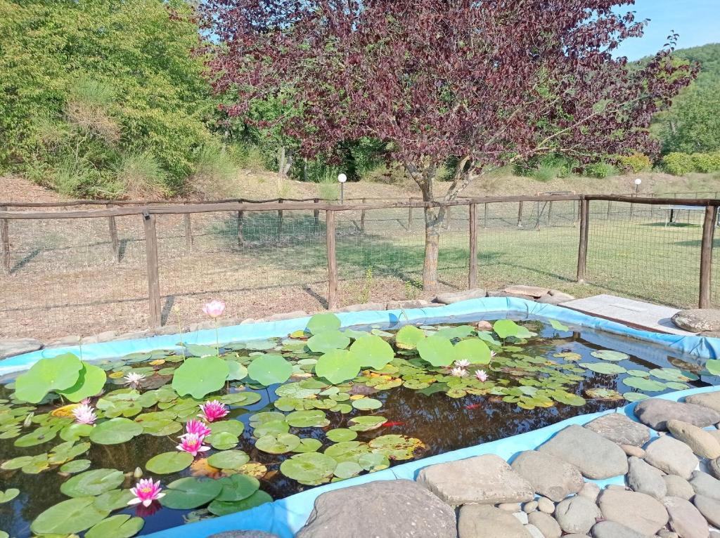 Vonkajšia záhrada v ubytovaní Agriturismo la Coccinella