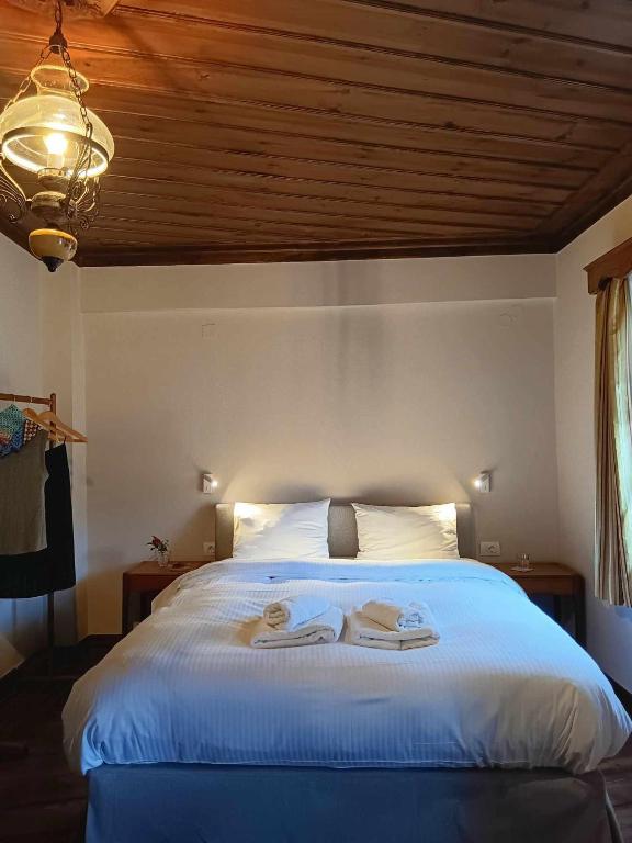 En Chora Vezitsa - 16