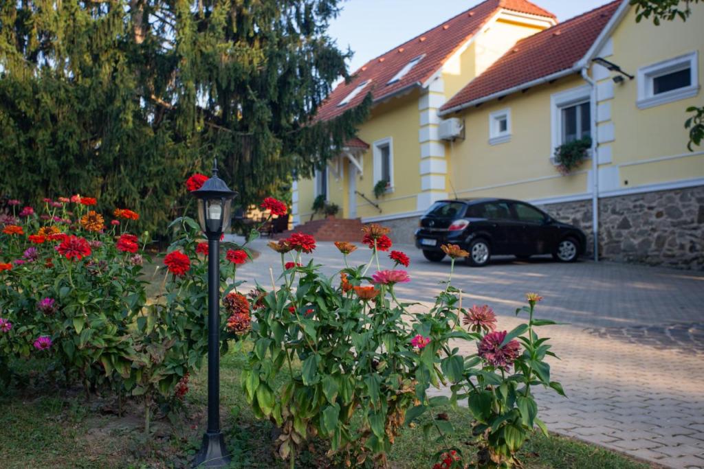 Vonkajšia záhrada v ubytovaní Kondics Apartmanház