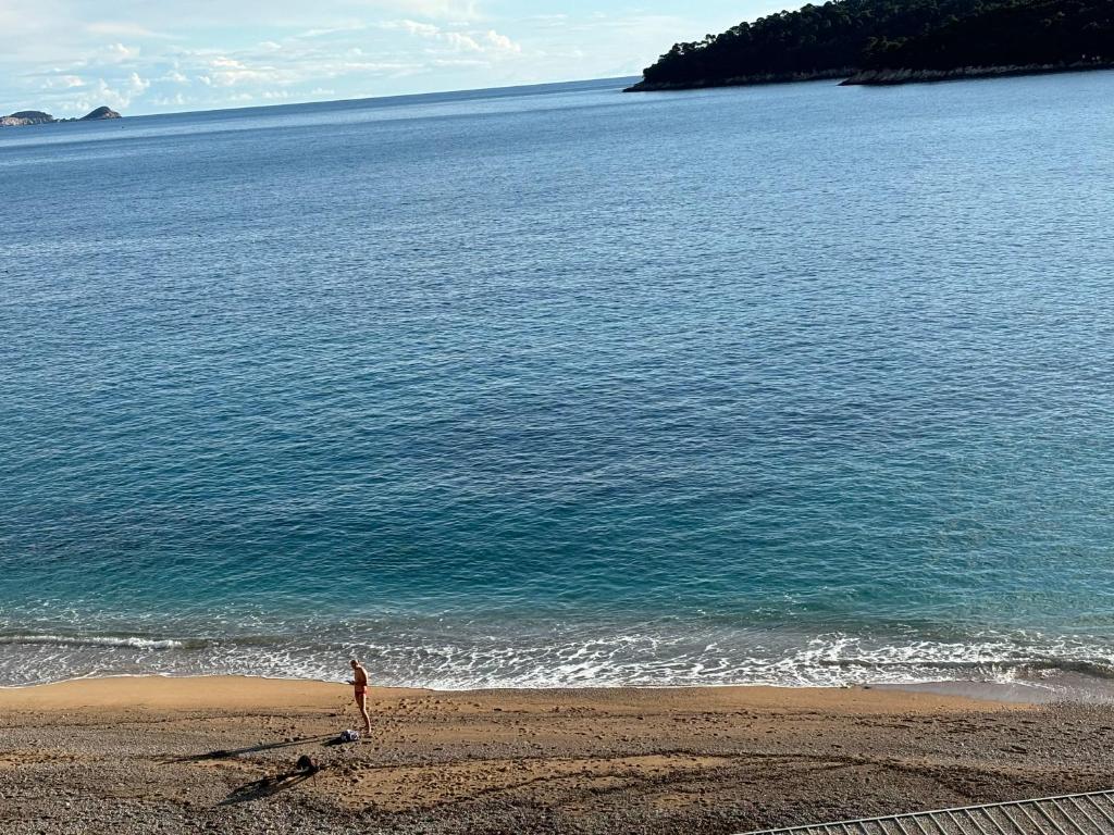 Villa Anica Dubrovnik - luxurious with a sea view - 3