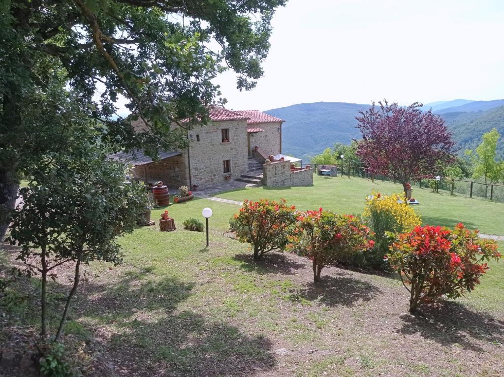 Príroda v okolí farmy