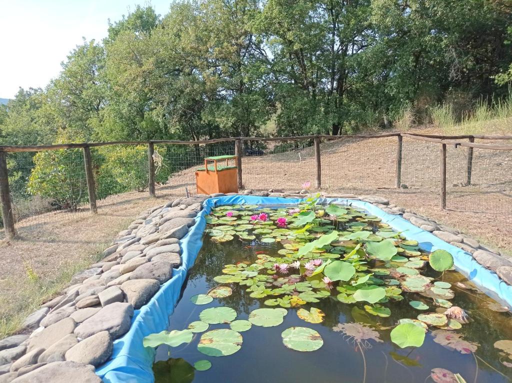 Vonkajšia záhrada v ubytovaní Agriturismo la Coccinella