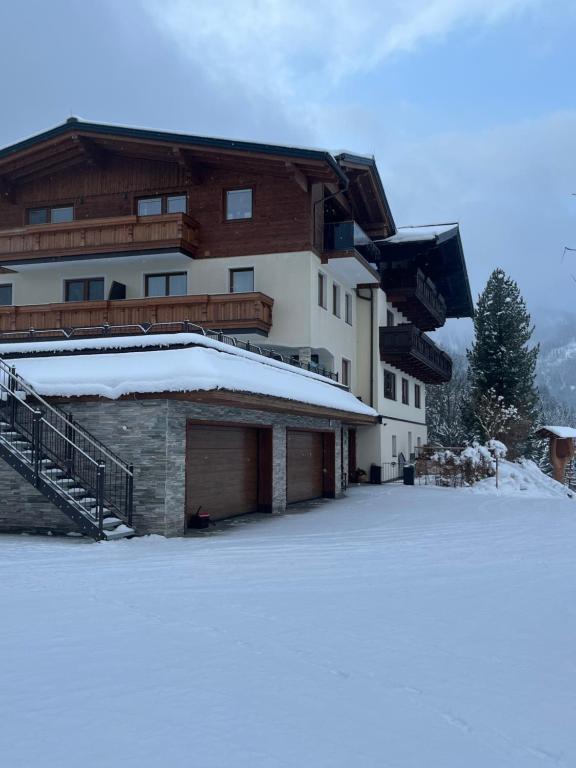 Hornergut om vinteren